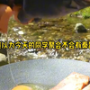 精彩小说