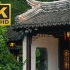 【4K】夏季阴雨天的中式庭院 | 金陵第一园 |瞻园