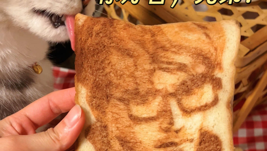 牢赛严选，老阿萨拉人必吃小面包