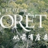 【中英字幕】从前有座森林2013【1080P】 Once Upon A Forest