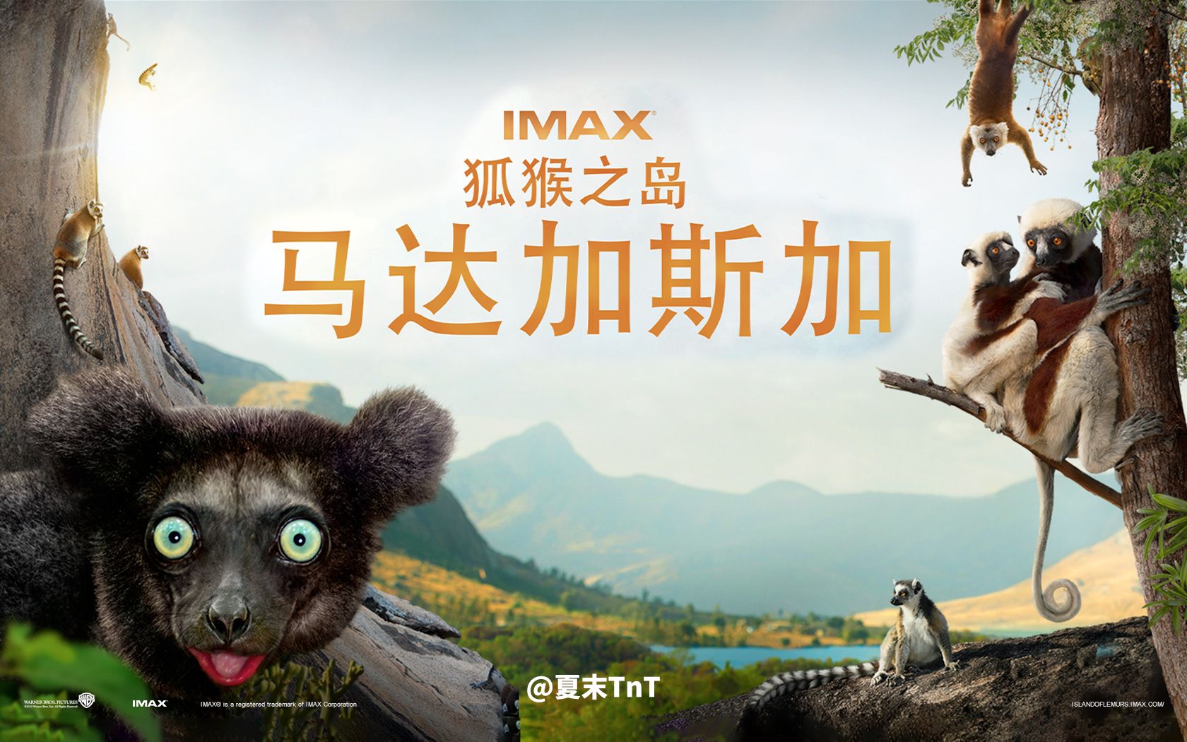 【IMAX纪录片】马达加斯加：狐猴之岛 中英双语字幕 Island of Lemurs: Madagascar