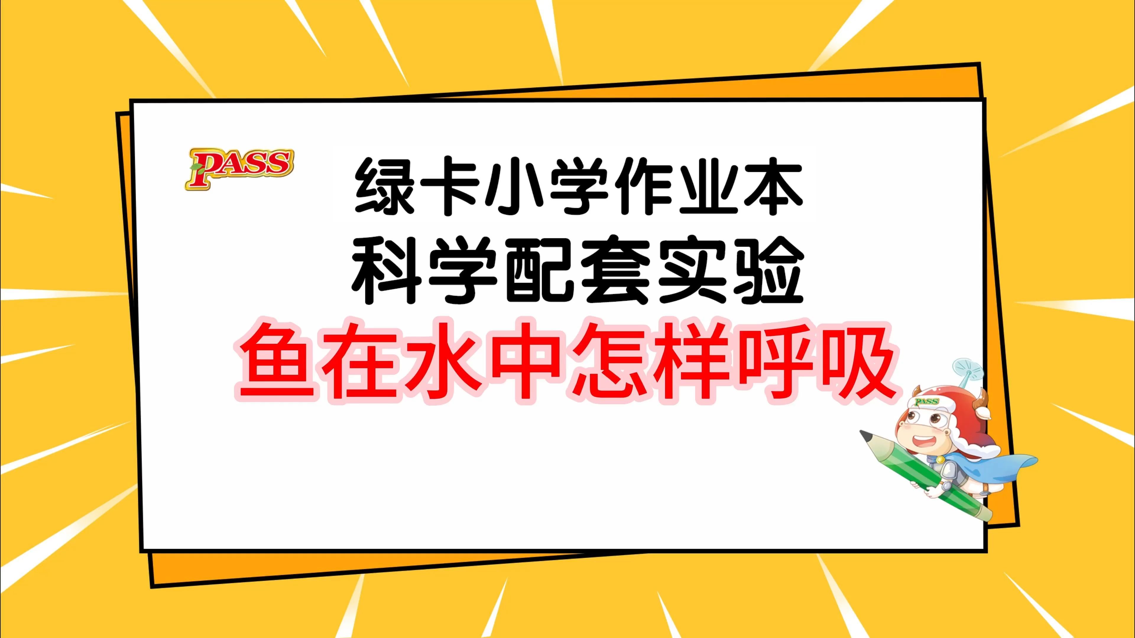 鱼在水中怎样呼吸