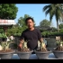 泰国沙漠玫瑰八爪鱼制作