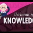 【10分钟速成课：哲学】第7集 - 知识的意义