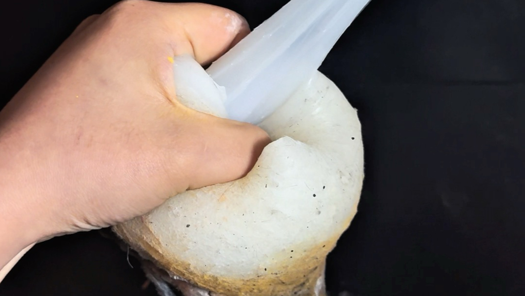 大狗…叫叫叫…
