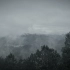 山中的冬天 | 2020.1徽州摄影集 | by 华为nova3