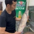 吃鱼生我只服横县，11斤的郁江白鲩，肉质鲜美得让人赞不绝口！