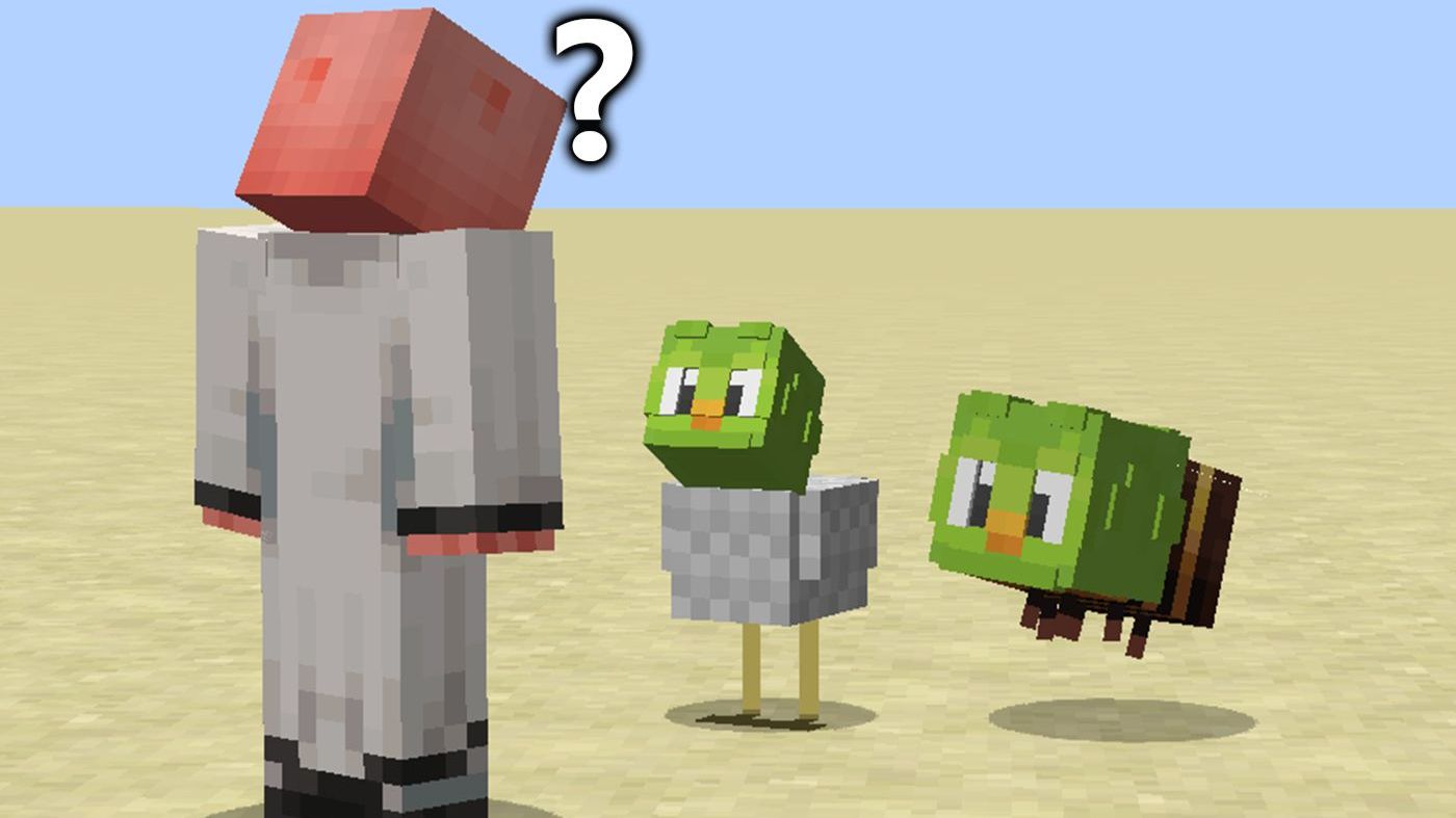 狂笑的猫头鹰教我下棋