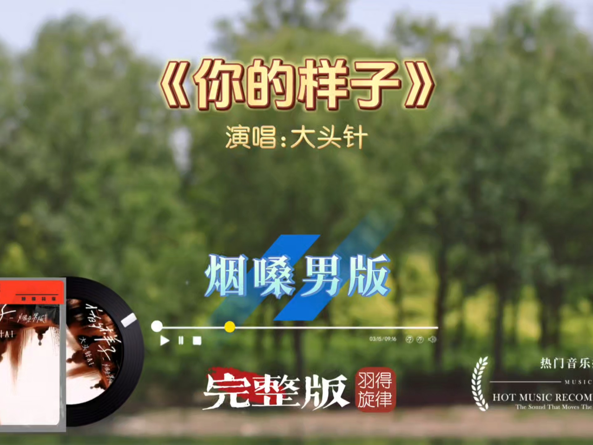 大头针歌曲《你的样子》烟嗓完整版，全新编曲将这首歌的灵魂演绎的淋漓尽致