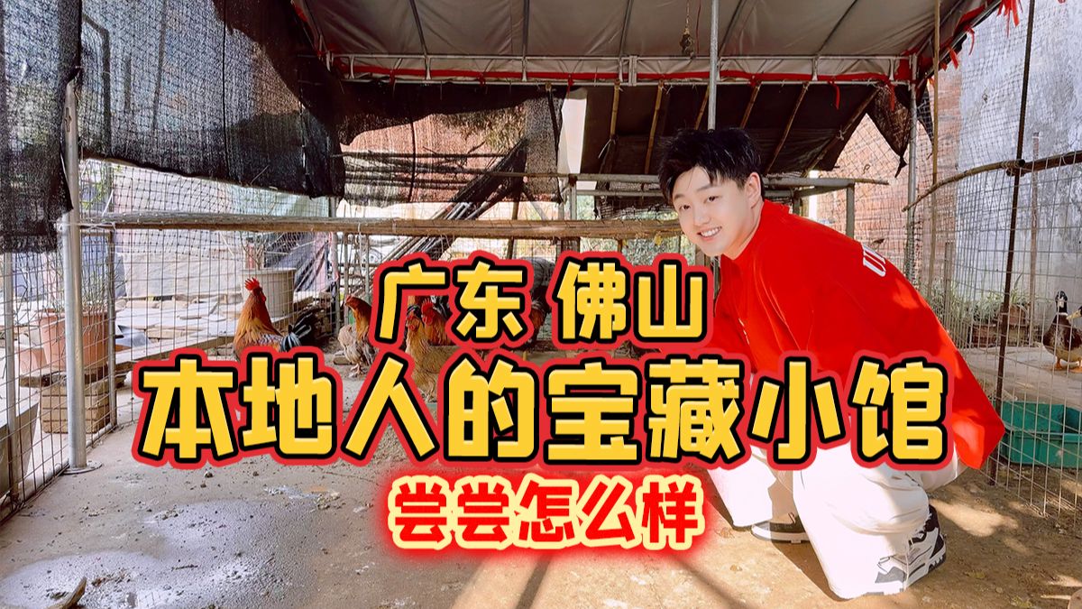 广东佛山，本地人的宝藏小馆，尝尝怎么样？