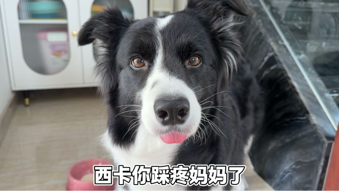 今天的按钮是两个人一起按的