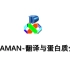 DNAMAN_翻译与蛋白质分析