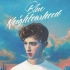 Troye Sivan 同性三部曲全 中英双语 Blue Neighbourhood 1080P