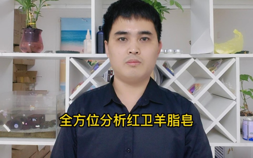 全方位分析讲解红卫羊脂皂，纠错部分不实言论