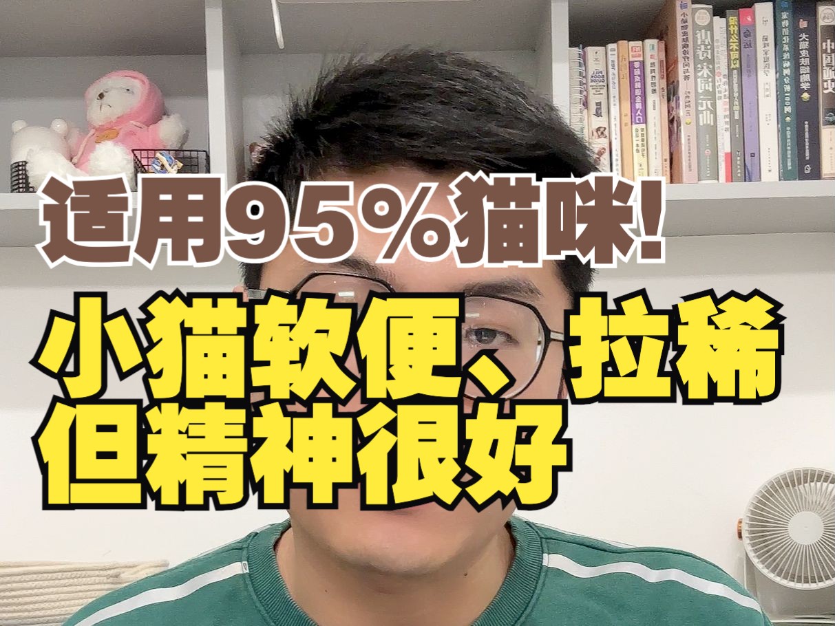 小猫软便拉稀怎么办？小猫软便但精神很好能自愈吗？