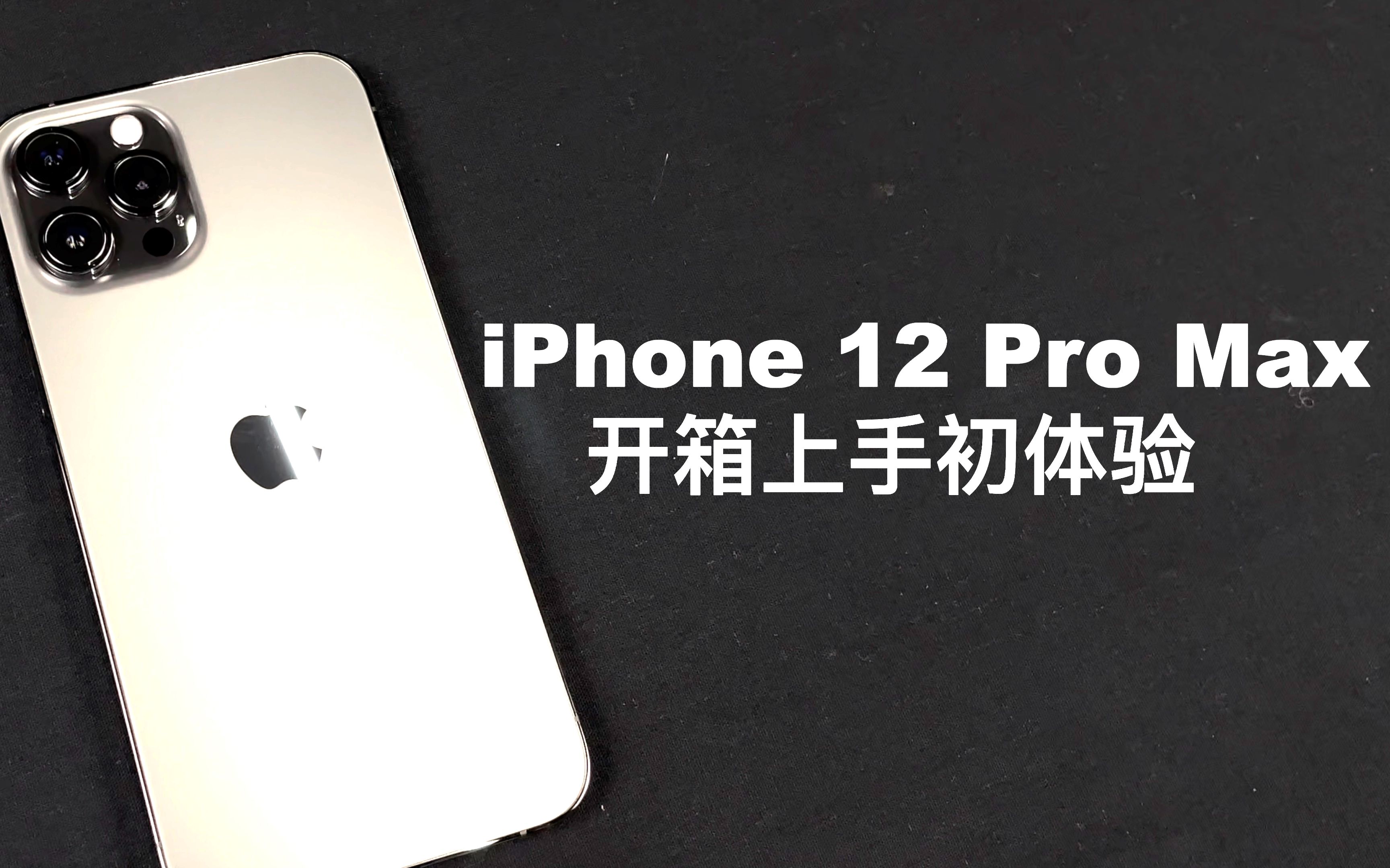 iPhone 12 Pro Max开箱：大 这手机是真的大！