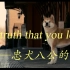 The truth that you leave-忠犬八公的故事
