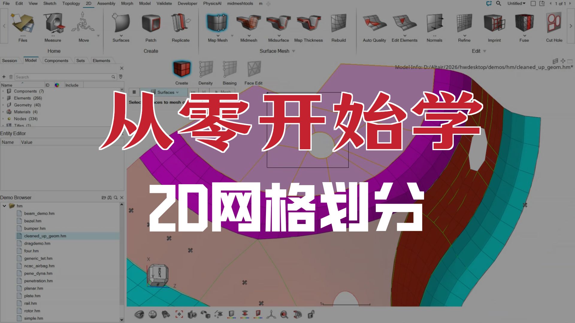 006-2D网格划分基础