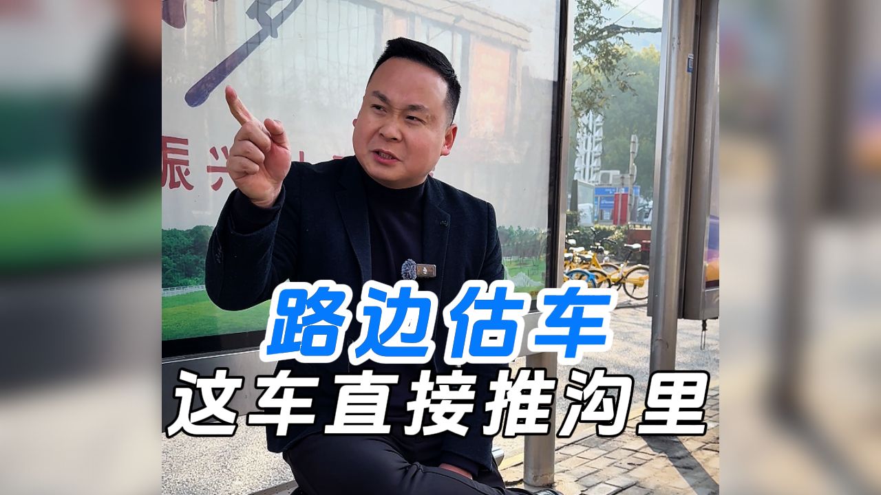 路边估车，这车我直接推沟里！