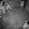 密室逃脱真人版