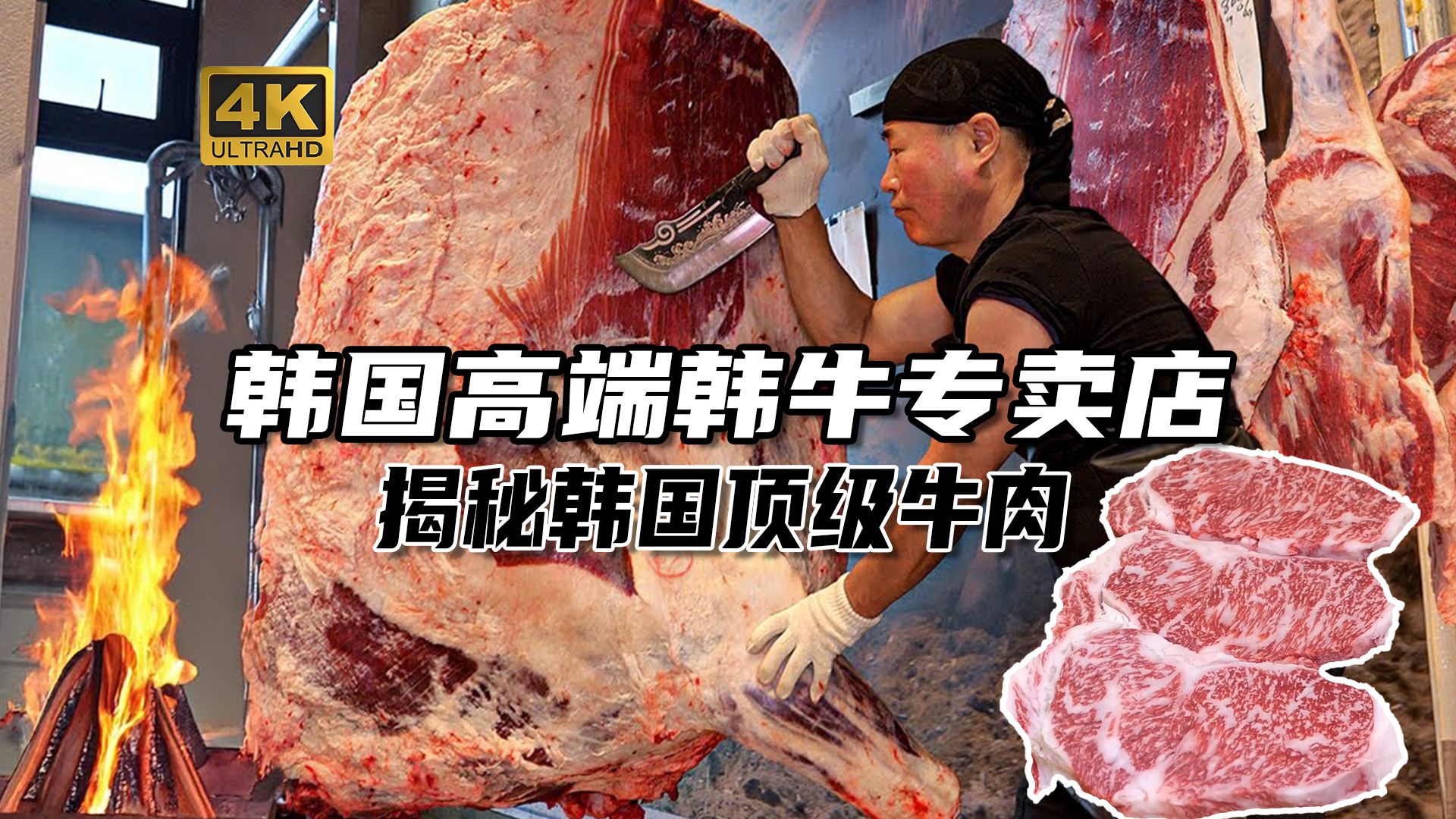韩国顶级的“韩牛”是什么？韩国人认为能比肩和牛的牛肉是如何诞生的？