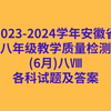 2023-2024学年安徽省八年级教学质量检测(6月)八Ⅷ各科试卷及答案