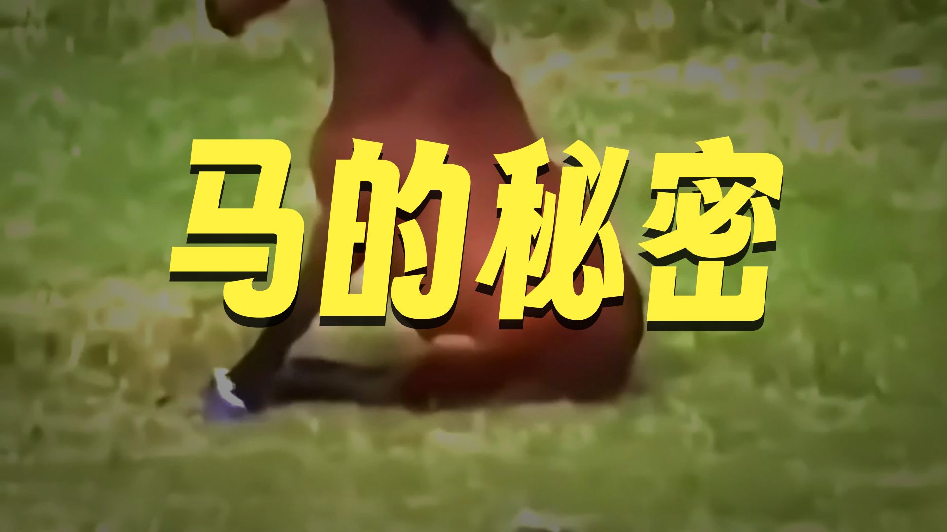 马为什么会坐在地上呢？