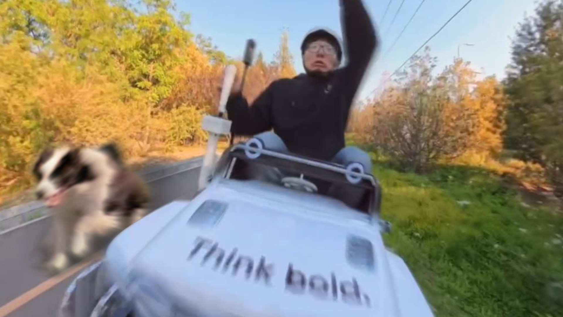 起初我只是想遛狗轻松一点...