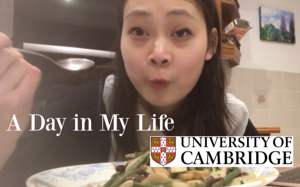 剑桥大学生的一天VLOG | 这个vlog太真实了 真实得我想哭。。。【彭酱】第一次翘课、老娘做的什锦杂蔬、深夜泡图书馆