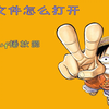 swf文件怎么打开 swf播放器