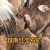 红宝石 越南红宝石矿