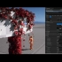 iBlender中文版插件Ivy Generator教程Crazy Ivy Plugin for Unreal Engi