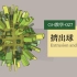 Grasshopper教学027-挤出球 Extrusion and Sphere