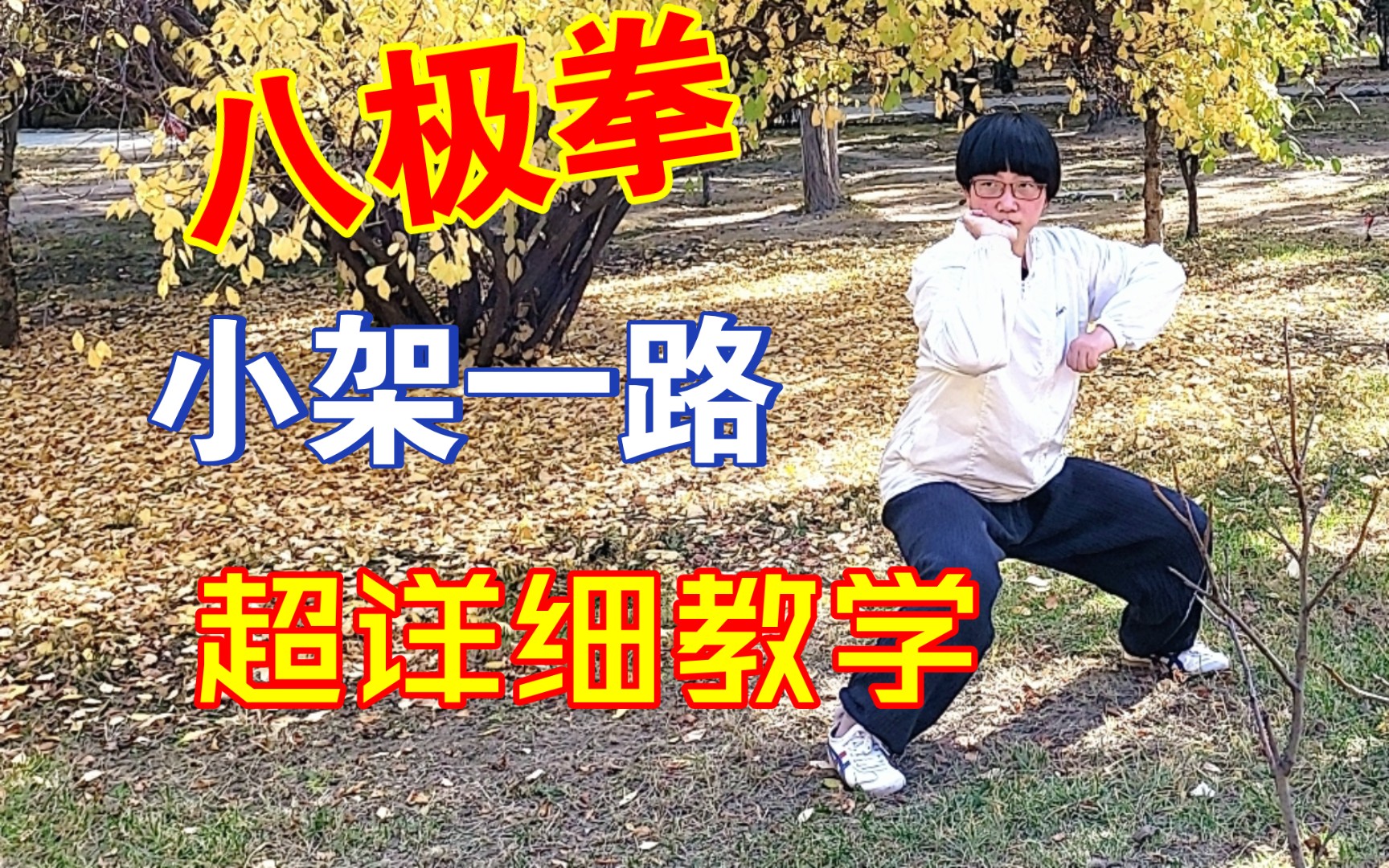 开门八极拳小架一路教学（13），该讲的不该讲的都讲了，剩下的看自己悟了。