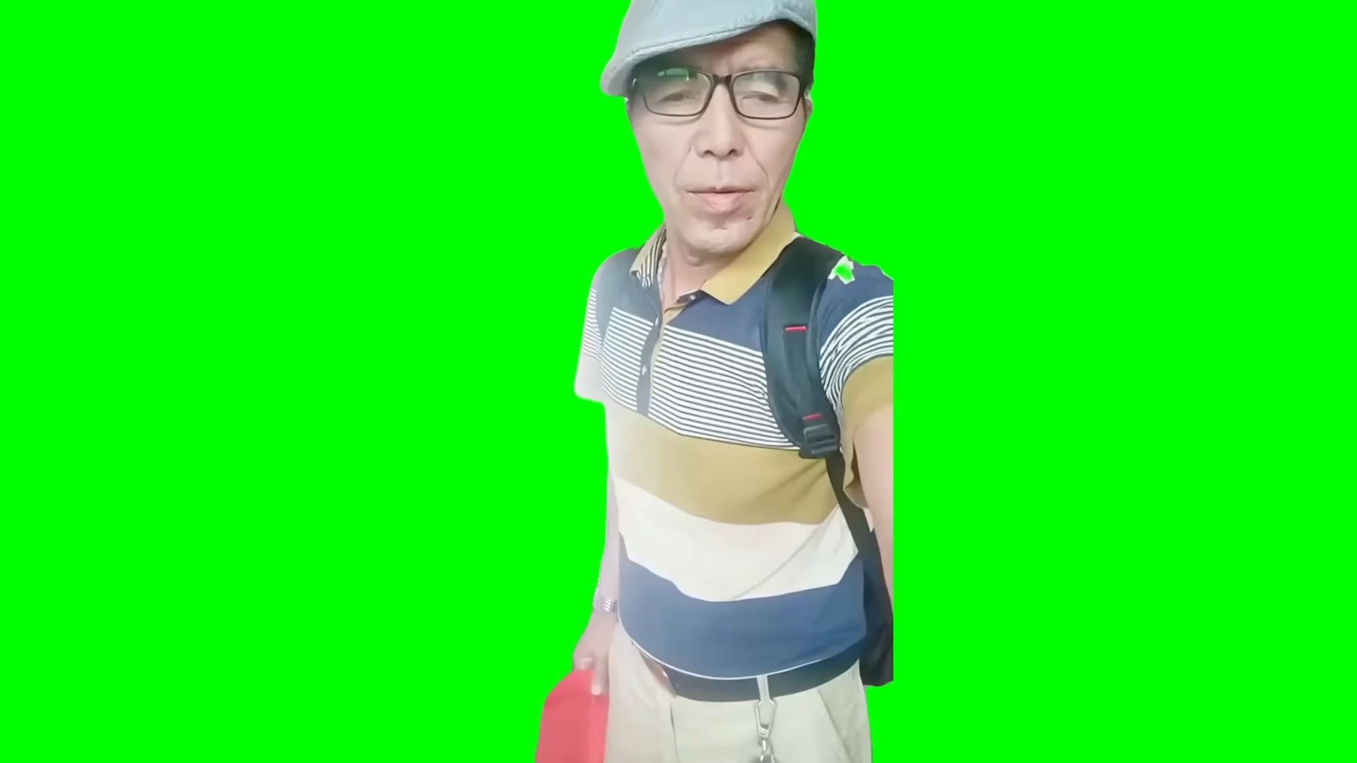 【高清无水印】君哥南方见 猫meme小剧场绿幕视频素材