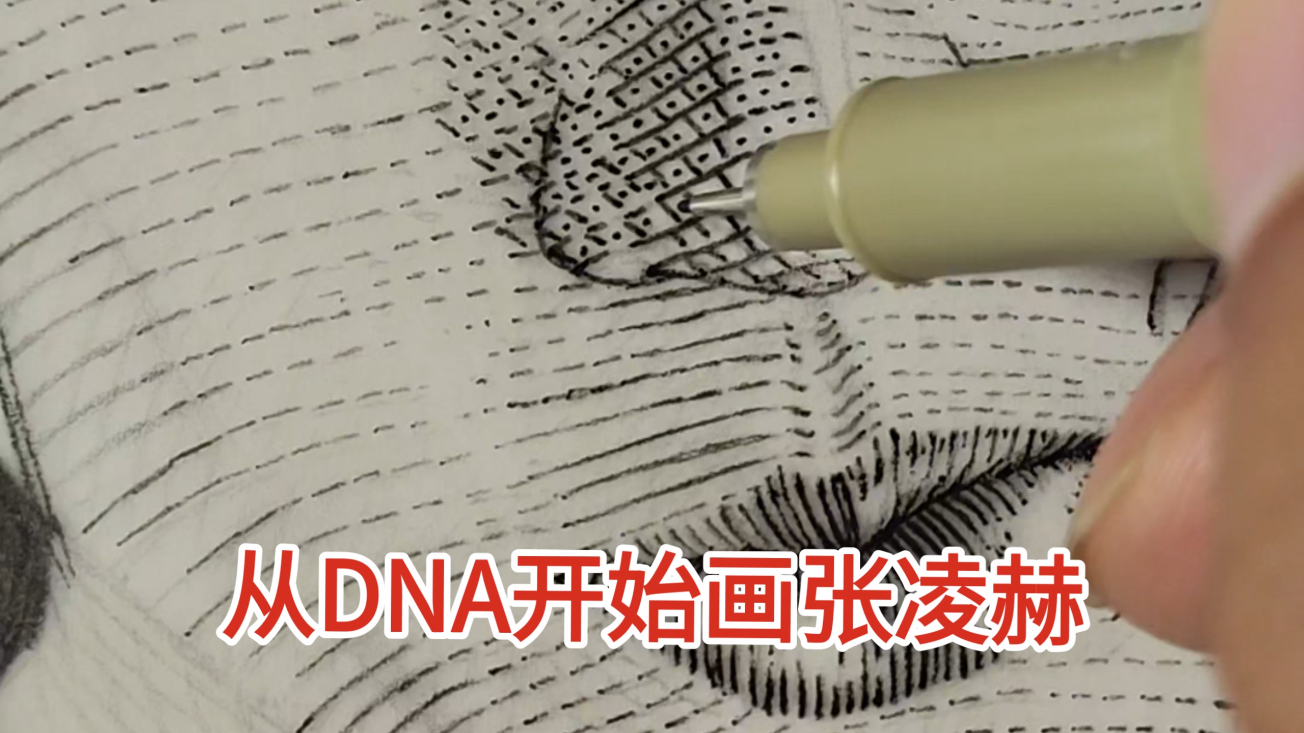 从DNA开始画张凌赫