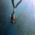 [剪辑师素材]-超高清海岸沙滩珊瑚礁美女潜水旅游摄影风景vlog记录素材e4~短视频剪辑师制作中需要用到的横版空镜头转场