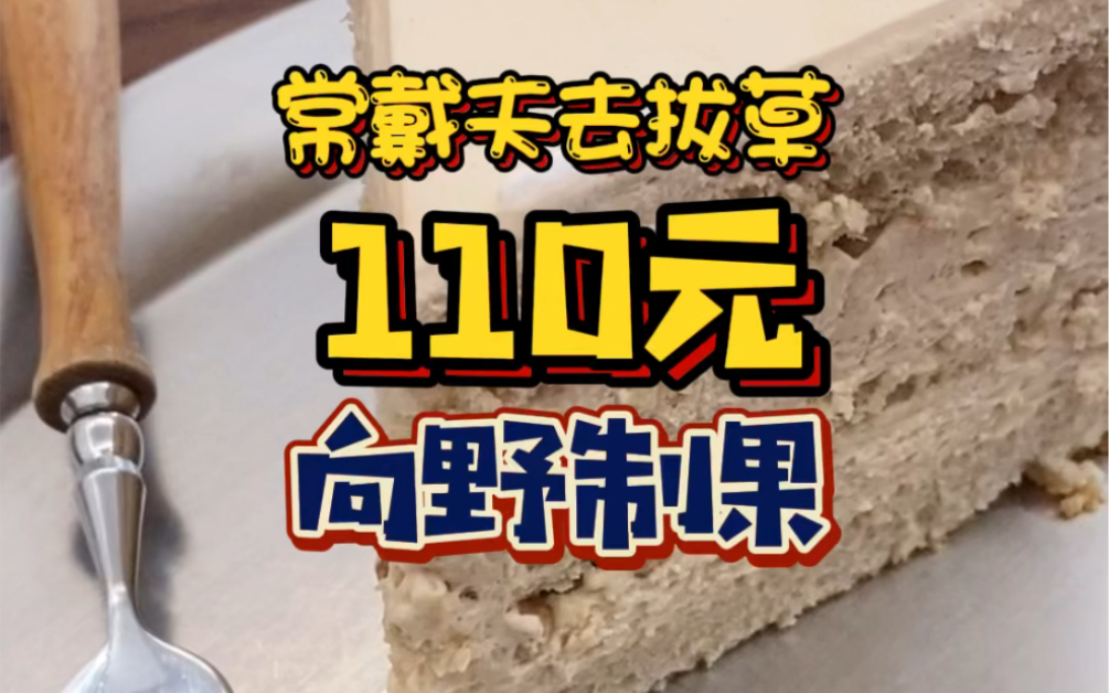 长宁区最低调但是敲好吃的甜品店‼️向野哔哩哔哩bilibili