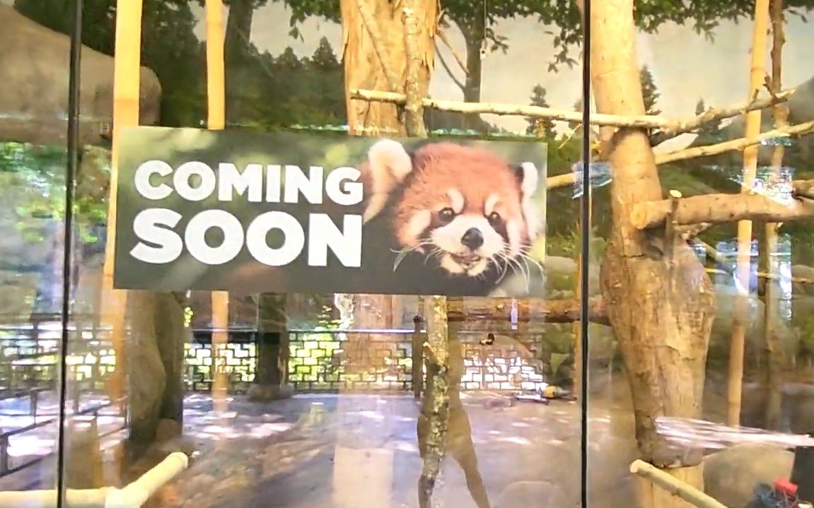 ［孟菲斯动物园］大熊猫走后的中国馆 仍是一个伟大的场馆