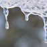 空镜头视频素材 冬季冰雪融化 素材分享