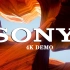 4KHDR 索尼电视开机画面演示片Sony 4K Demo Video  Sensorial Gateway