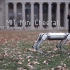 【机器人】MIT Mini Cheetah四足机器人演示后空翻