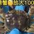 螃蟹放大1000倍，你还敢吃吗？