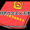 中国特色社会主义法律体系，了解一下