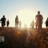 舞台视频 c961 人群奔跑在夕阳下的原野剪影励志商务企业宣传片视频 背景视频 视频素材