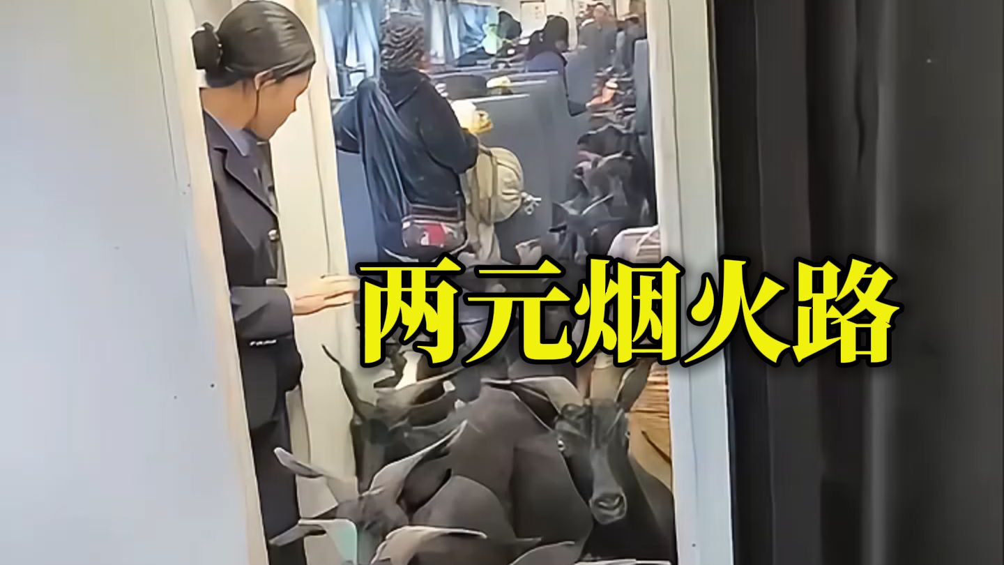 票价仅2元的公益性“慢火车”，是沿线百姓的“公交车”，更是“赶集车”“求学车”