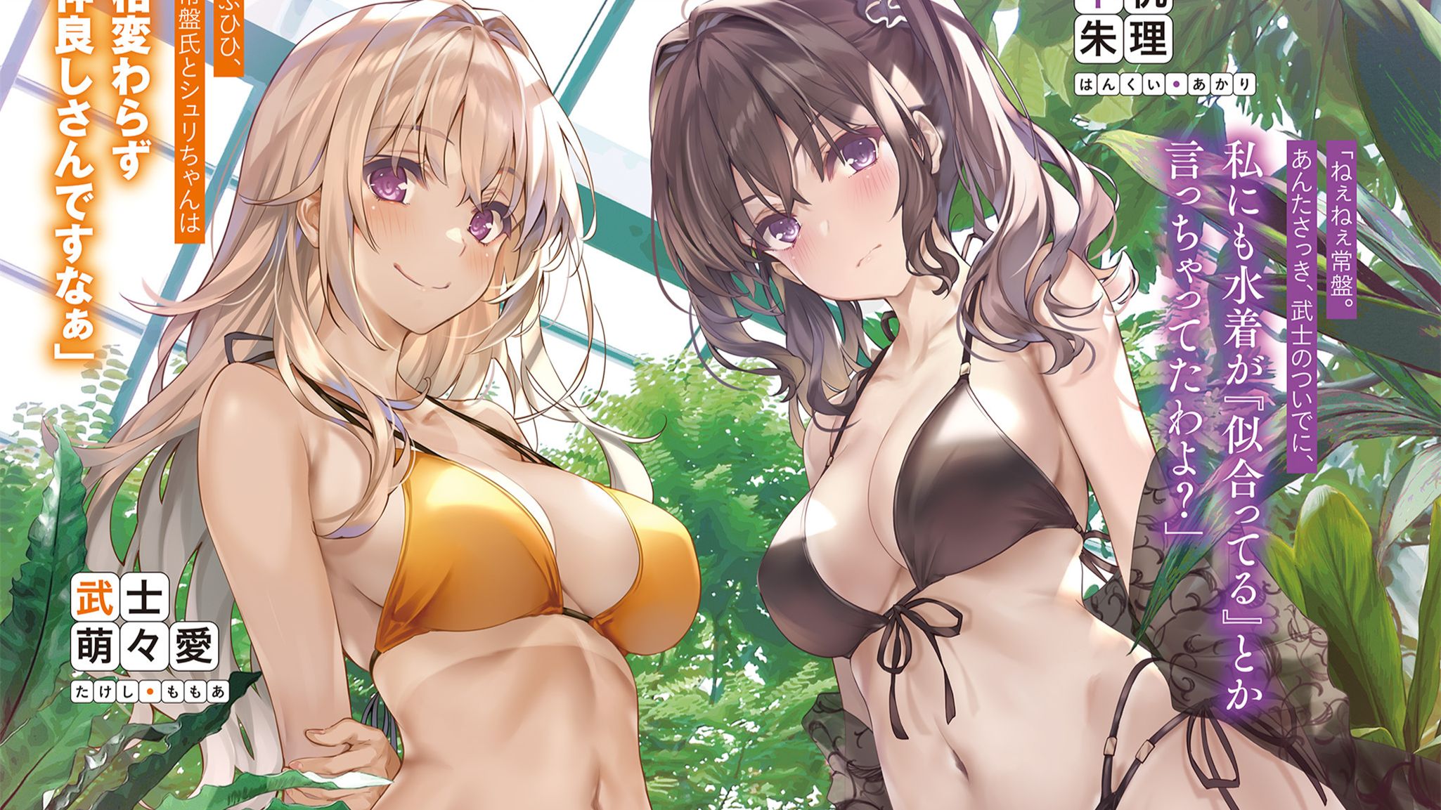 轻小说『游玩关系』第3卷 插画