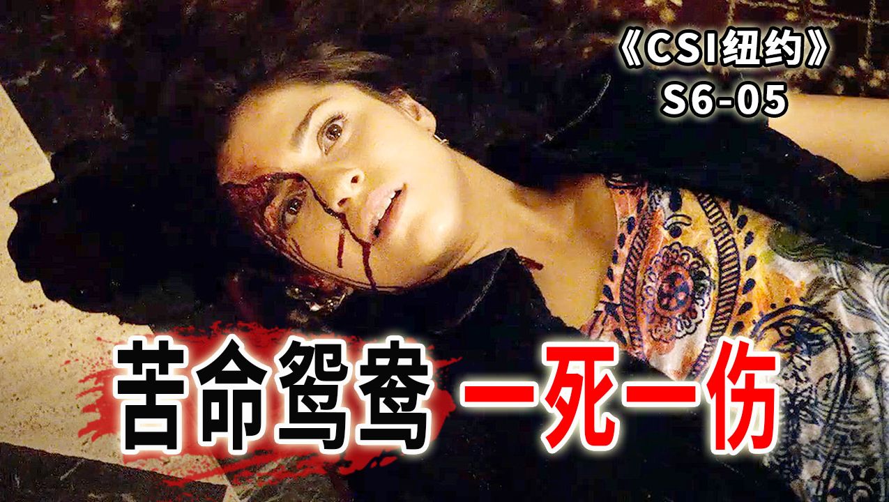 苦命鸳鸯一死一伤，你这辈子，有没有为别人拼过命？ 《CSI纽约》S6-05