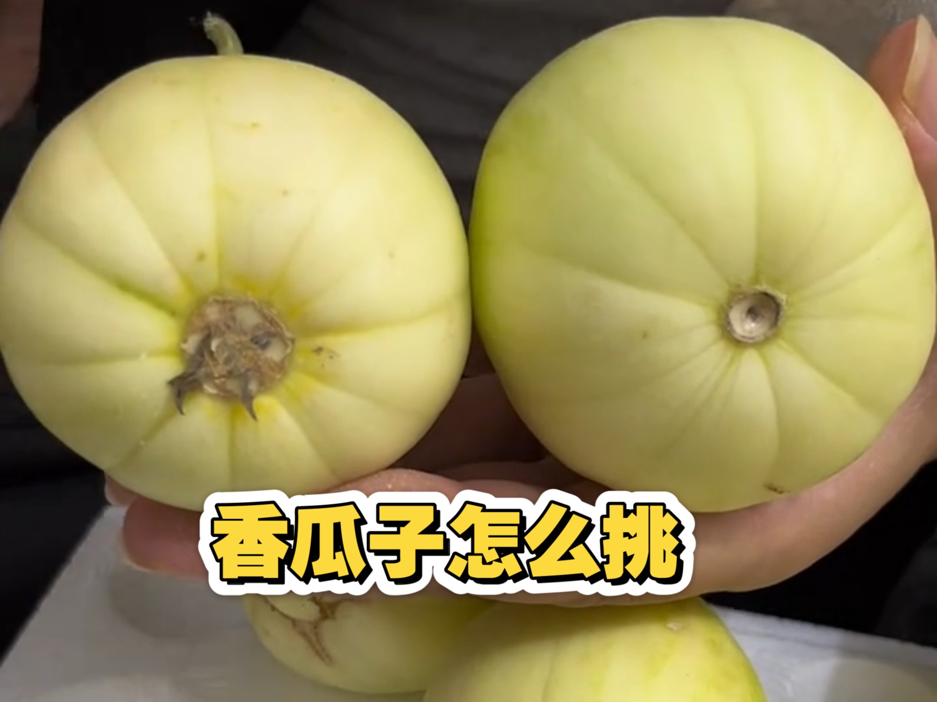 香瓜子怎么挑？怎么挑选好吃的香瓜子？香瓜子和哈密瓜的区别？白糖罐香瓜和八里香甜瓜的区别？