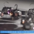 一千个小型群居机器人能比大自然更聪明吗-哈佛大学Kilobots